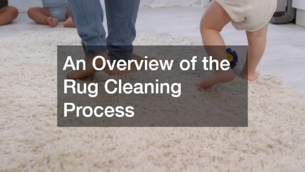 An Overview of the Rug Cleaning Process
