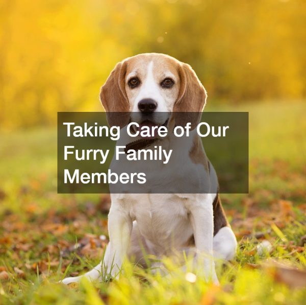 Taking Care of Our Furry Family Members